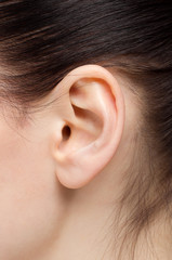 profile close ear