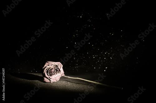 Cuadros en Lienzo A wilting rose signifies lost love, divorce, or a bad relationship, dead rose on