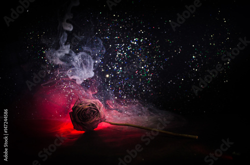 Fotomural A wilting rose signifies lost love, divorce, or a bad relationship, dead rose on