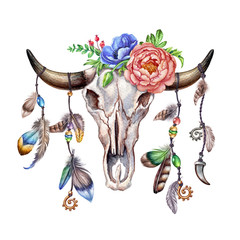 watercolor illustration, rustic cow skull, flowers and feathers, floral clip art, bouquet, boho design, isolated on white background