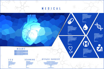 Poster - 2d illustration  Anatomy of Human Heart 