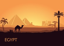 Camel In Wild Africa Pyramids Landscape Background Illustration