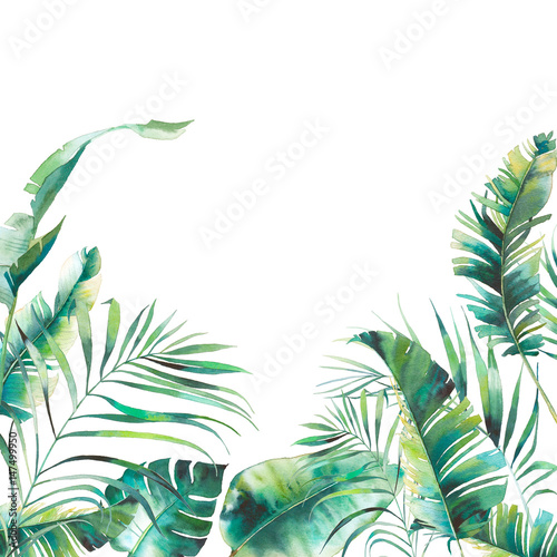 Foto-Gardine - Watercolor summer floral frame. Hand drawn card design with exotic leaves and branches isolated on white background. Palm tree, banana leaves, mostera plants (von ldinka)