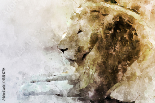 Foto-Lamellenvorhang - Watercolor portrait image of male lion (von pomiti)