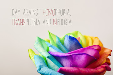 Wall Mural - day against homophobia, transphobia and biphobia