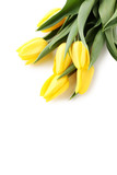 Fototapeta Tulipany - Bouquet of yellow tulips isolated on a white