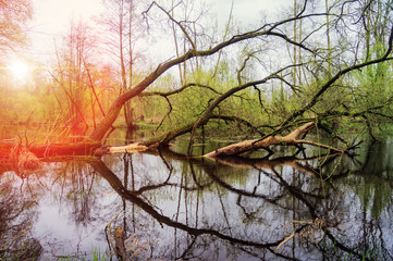 Flood on a spring river.