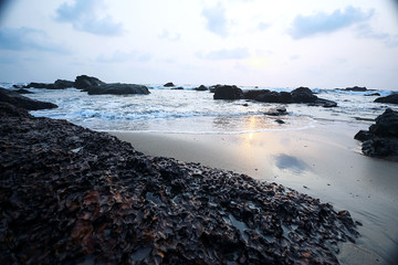 Wall Mural - Beautiful sunset on the beach