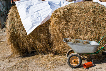 Hand truck near rolls of hay for feed Pets