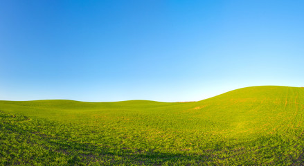  Green grass hills meadows landscape with bright blue sky on a bright sunny day. Outdoor nature background.