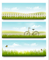Aufkleber - Three nature summer meadow landscape banners with grass and butterflies. Vector.