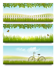Fototapete - Countryside banners with grass, white fence and leaves. Vector.