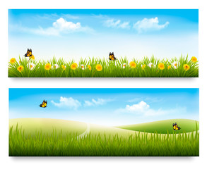 Poster - Two spring meadow banners with grass and flowers. Vector.