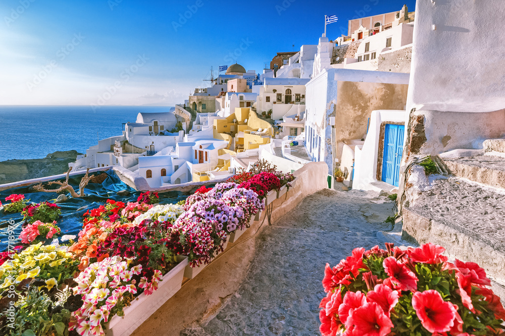 Scenic view of traditional cycladic houses on small street with flowers in foreground, Oia village, Santorini, Greece. Sunset view point. Holidays background. - obrazy, fototapety, plakaty 