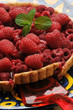 © Comugnero Silvana - Rubus idaeus Skovbær Frutti di bosco Fruita del bosc Waldbeeren Lampone Fruta del bosque Fruit rouge Soft fruits Frutos silvestres ثمرة vermelho توت Berries Jagody ягоды Bogyók Raspberry Bessen