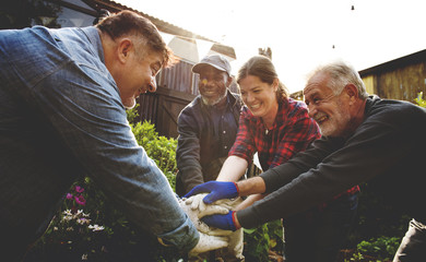 Wall Mural - Group of people hand assemble planting vegetable in greenhouse