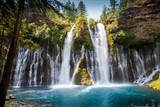 Fototapeta Kwiaty - Mc Arthur-Burney Falls in California in early spring