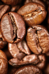 Wall Mural - Coffee beans macro wallpaper. Roasted coffee beans as Brown background