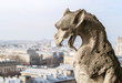 Close up of a chimera stone sculpture on the top of the Notre Dame cathedrale. Historical statue and beautiful view to the capital of France. The city of Paris in the background.