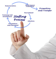 Poster - Staffing Process