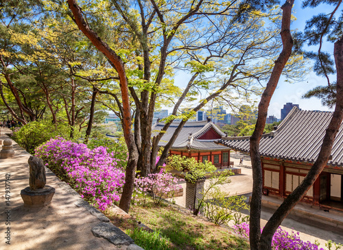 Stampa su Tela Changdeokgung, royal palace in Seoul, Secret garden