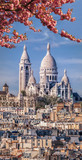 Fototapeta Paryż - Famous Sacre Coeur Cathedral during spring time in Paris, France