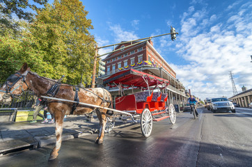 Wall Mural - NEW ORLEANS, USA - FEBRUARY 2016: Red horse carriage along Jackson Square. New Orleans attracts 10 million tourists annually