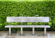 Modern bench at bus stop against leaf wall.