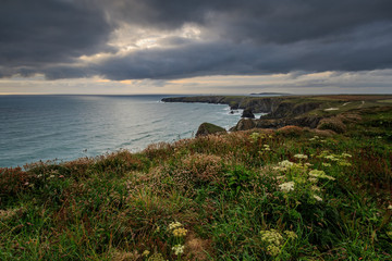 Wall Mural - bedruthan steps