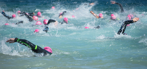 Wall Mural - Group people in wetsuit swimming at triathlon