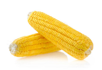 Wall Mural - corn on white background