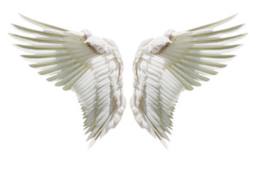 Fototapete - Internal white wing plumage