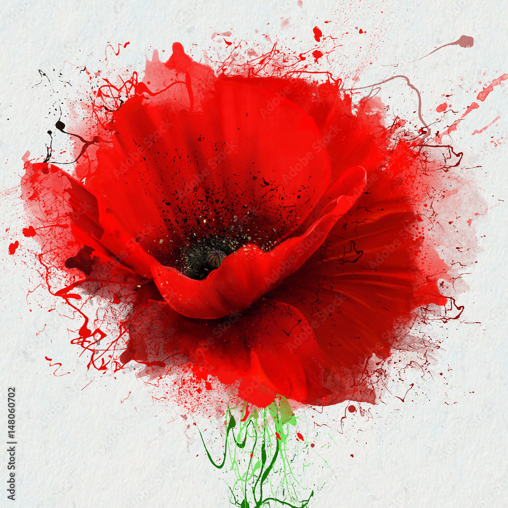 Beautiful red poppy closeup on a white background, with elements of the sketch and spray paint, as an illustration for the cover of the Notepad or notebook, or print on clothing - obrazy, fototapety, plakaty 