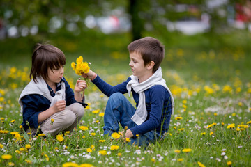 Wall Mural - Sweet children, boys, gathering dandelions and daisy flowers