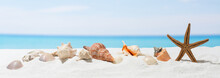 Banner Summer Background With White Sand. Seashell And Starfish On The Beach.