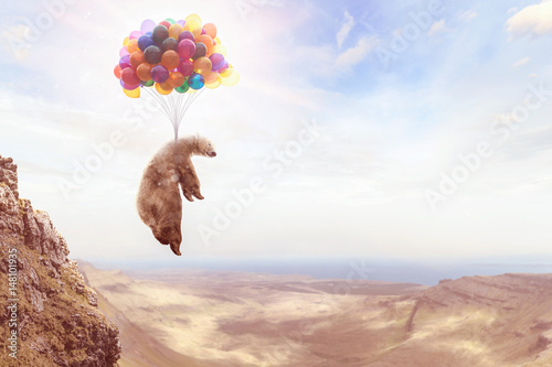 Fotografia Ein Bär hängt an Luftballons