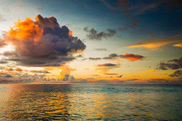Wall Mural - tropical beach