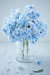 © ulchik74 - Beautiful blue hydrangea flowers close-up in a vase on a light background.