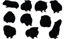 Guinea Pig Silhouette Vector Illustration