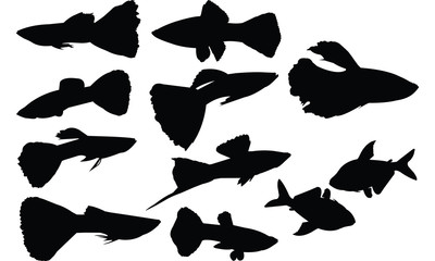 Guppy Silhouette vector illustration