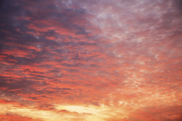 Wall Mural - Sunset sky clouds.