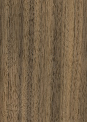 Wood texture