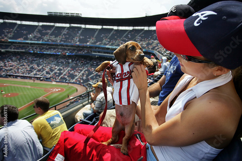 turner field shirt