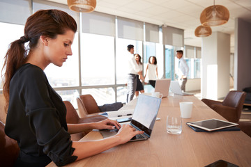 Wall Mural - Businesswoman Uses Laptop As Colleagues Meet In Background