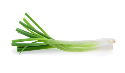 Canvas Print - Green onion isolated on the white background