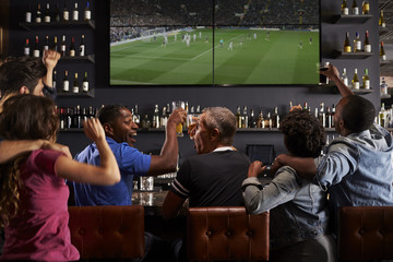 Wall Mural - Rear View Of Friends Relaxing In Bar And Making Toast