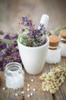 Mortar of dried healing herbs and bottles of homeopathic globules.  Homeopathy medicine concept.