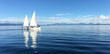 canvas print picture - Yacht sail boats sailing over Lake Taupo New Zealand