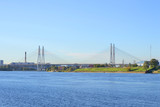 Fototapeta  - Cable-stayed bridge and Neva River.