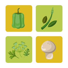 Wall Mural - set vegetables fresh harvest healthy image vector illustration